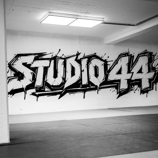 Neue Kampfsport Fläche im Studio 44 Bochum